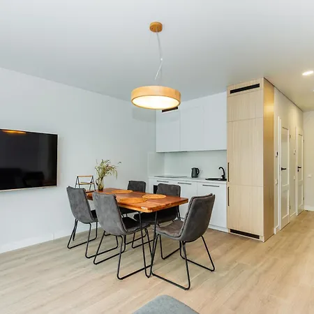 J7 Berzas 7a-1 Apartment Palanga